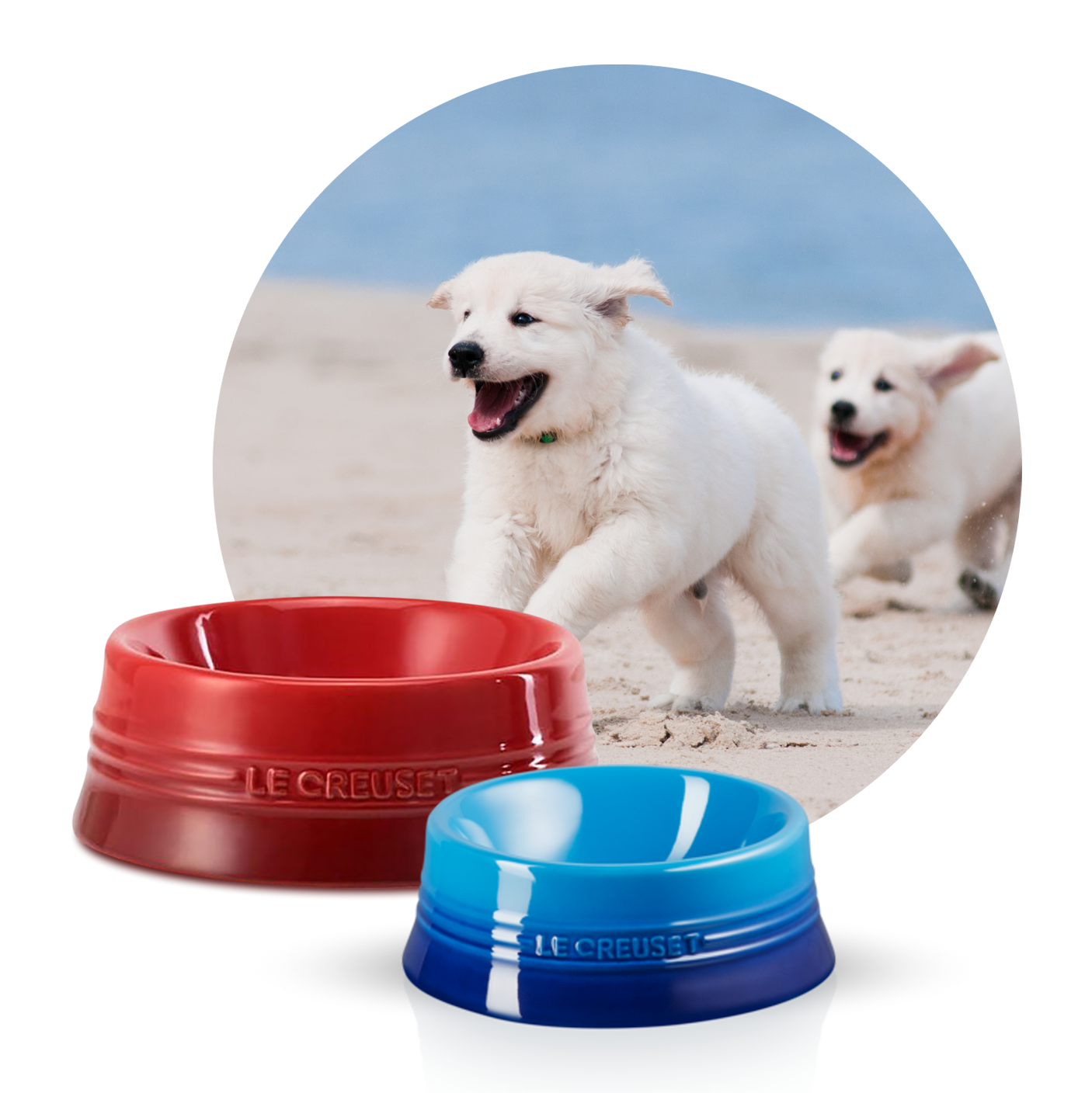 Collection Pet Collection Le Creuset IE